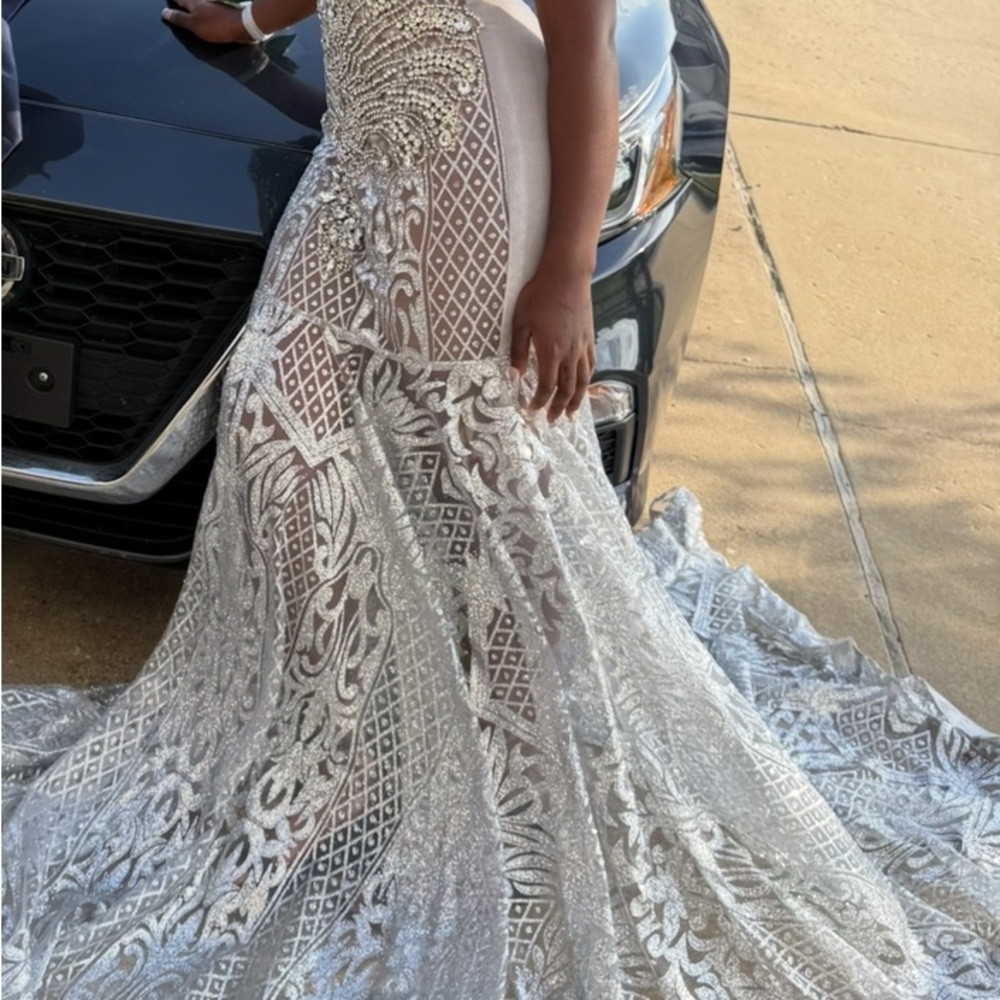 Elegant Silver and White Gown